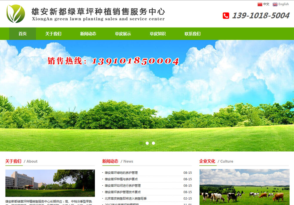 免费wordpress模板